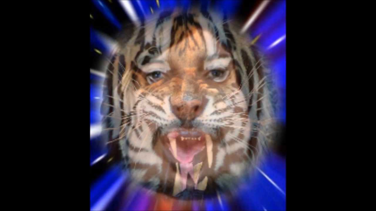 Rival Sons - Wild Animal [Official Fan Video]