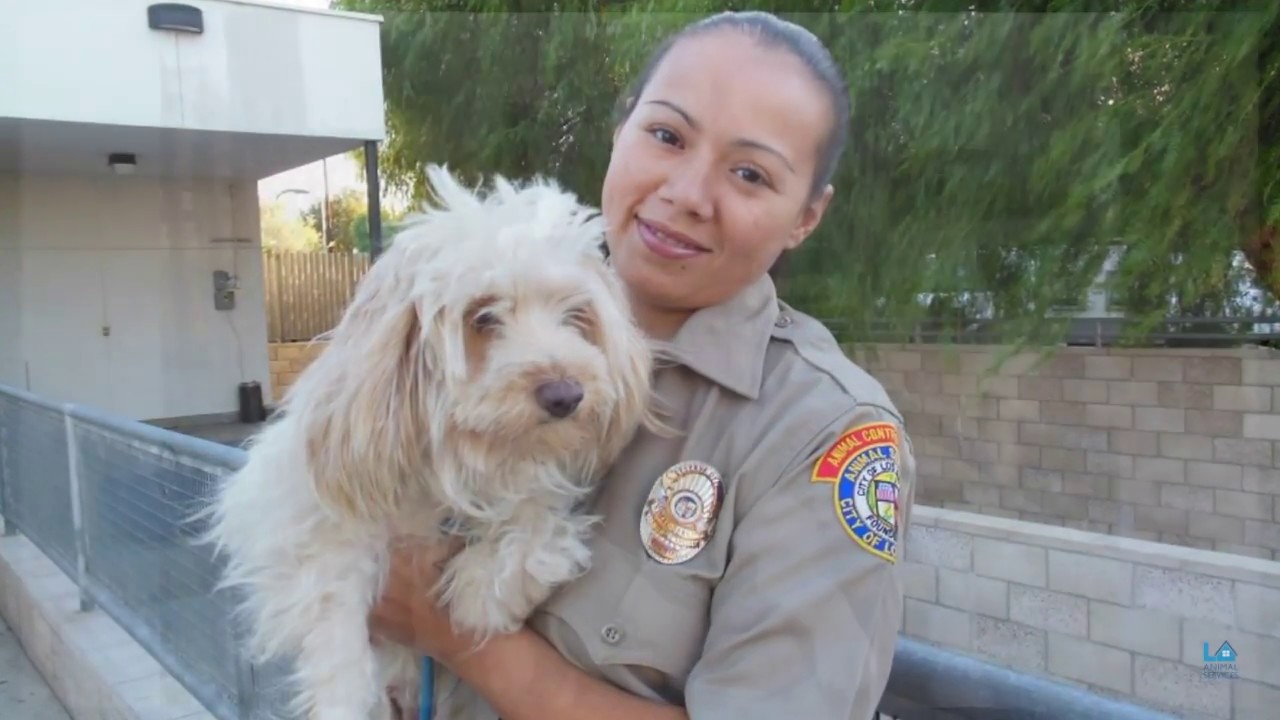 We're Hiring Animal Control Officers - LA Animal Services