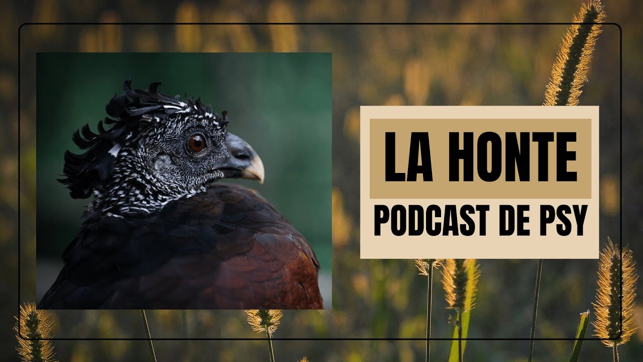 Faut-il avoir honte ? Le sentiment de honte, raconté par Psychoélie