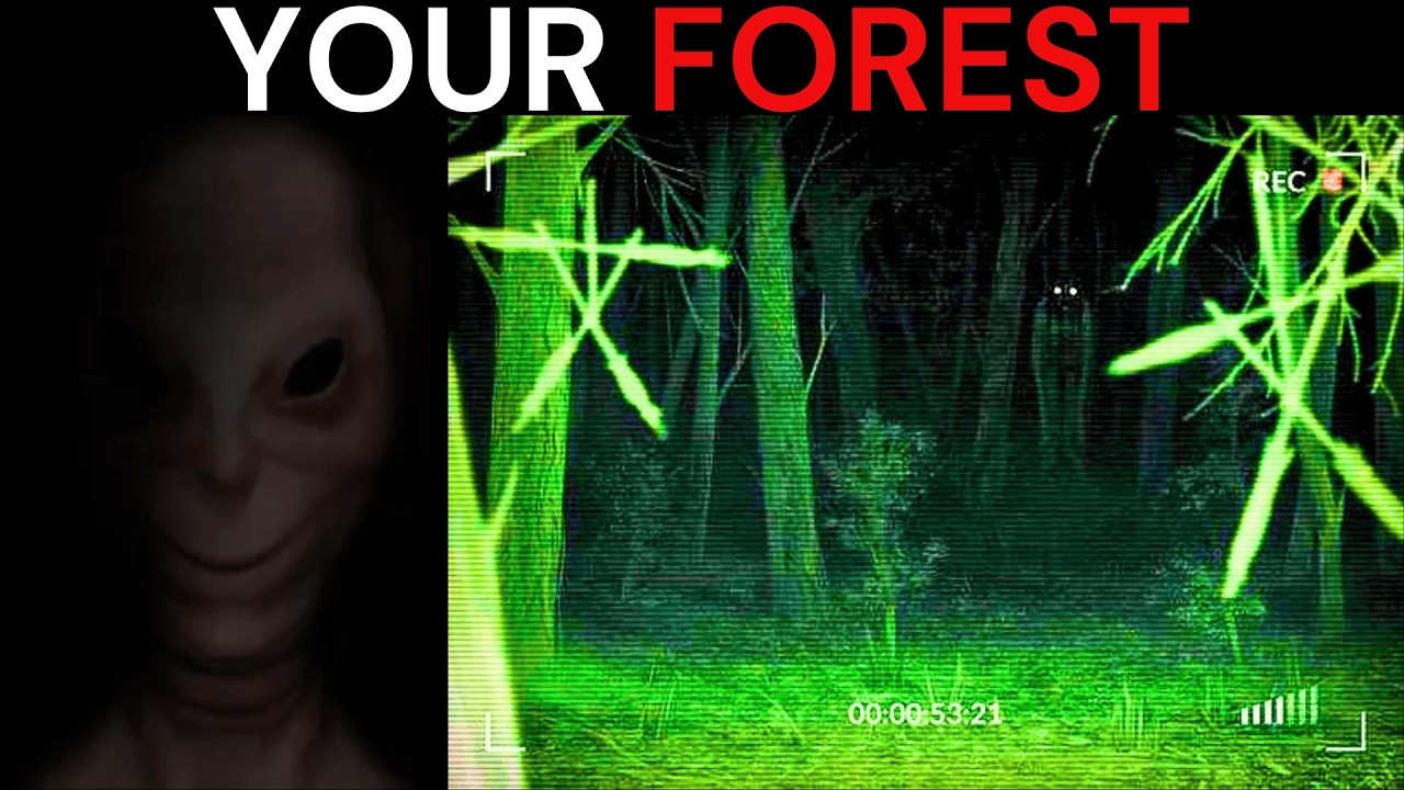Mr Incredible Becoming Uncanny meme (Your forest) | 100+ phases