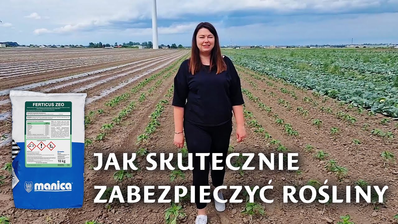 Jak skutecznie zabezpieczyć rośliny?