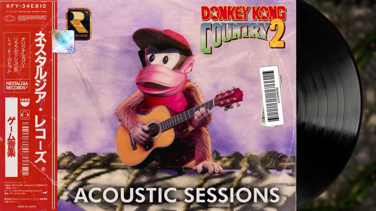 Acoustic Sessions 🎸🌿 – Donkey Kong Country 2 Soundtrack 🐵🏝️