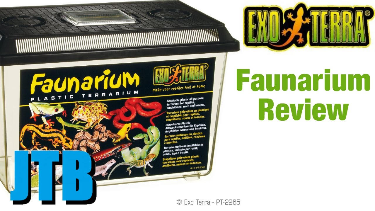 Exo Terra Faunarium Review