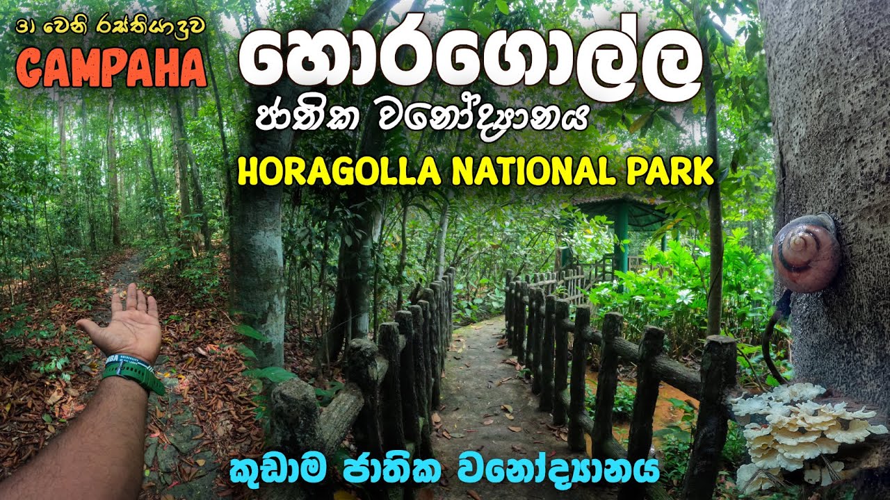 ලංකාවේ කුඩාම ජාතික වනෝද්‍යානය බලන්න යමුද? | Horagolla Natioal Park | හොරගොල්ල Nittambuwa | 4k