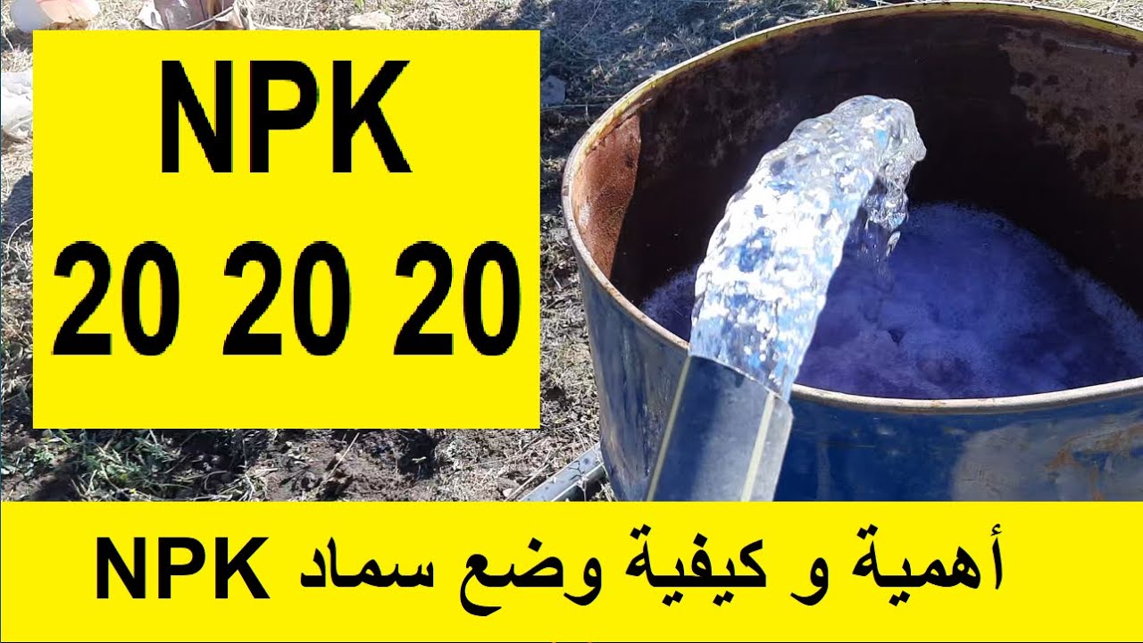 كيفية وضع سماد NPK 202020 للأشجار المثمرة و موعد استعماله و اهمية npk