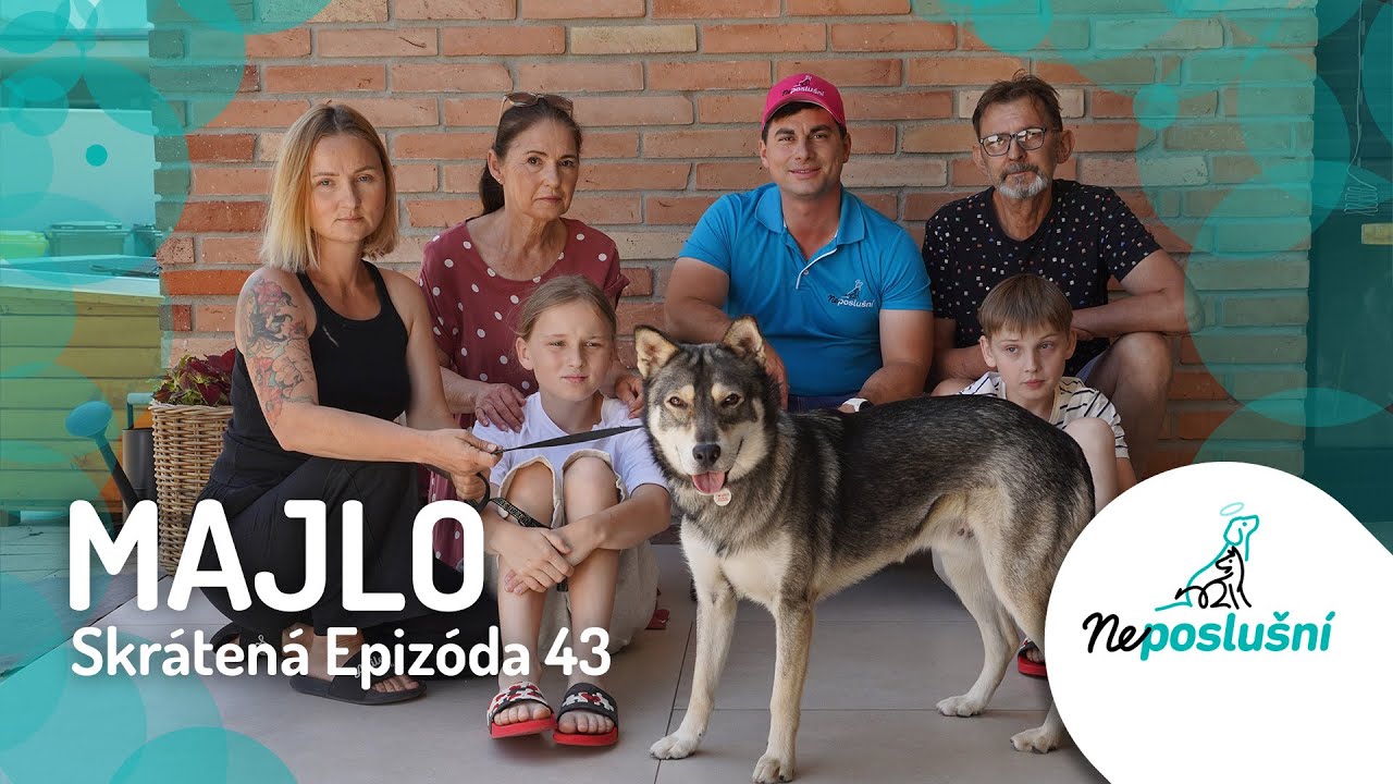 Psík Majlo a jeho parádna rodinka (skrátené časti) | NEPOSLUŠNÍ