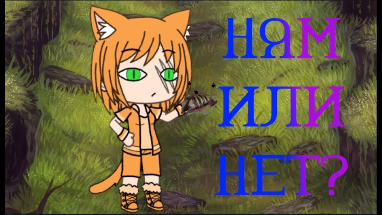 Типичный день новичка✮Прикол✮Gacha Life + CatWar