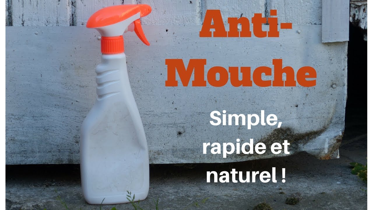SPRAY ANTI-MOUCHE - Facile, simple, efficace et NATUREL !!! 🐜