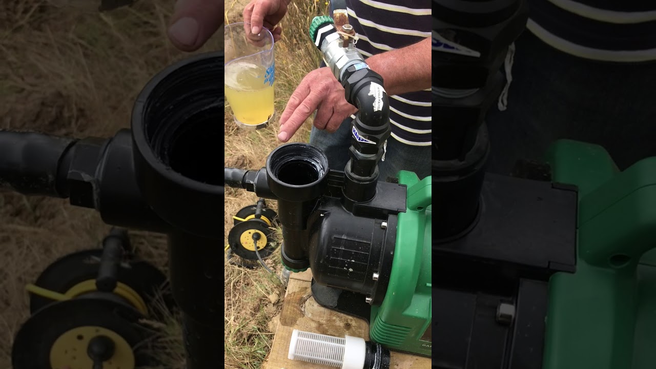 44268   Priming the Garden Pump