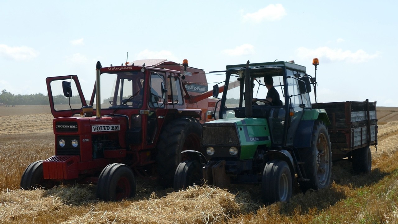 VOLVO BM 650 Harvesting With Deutz Fahr M66TS Combine