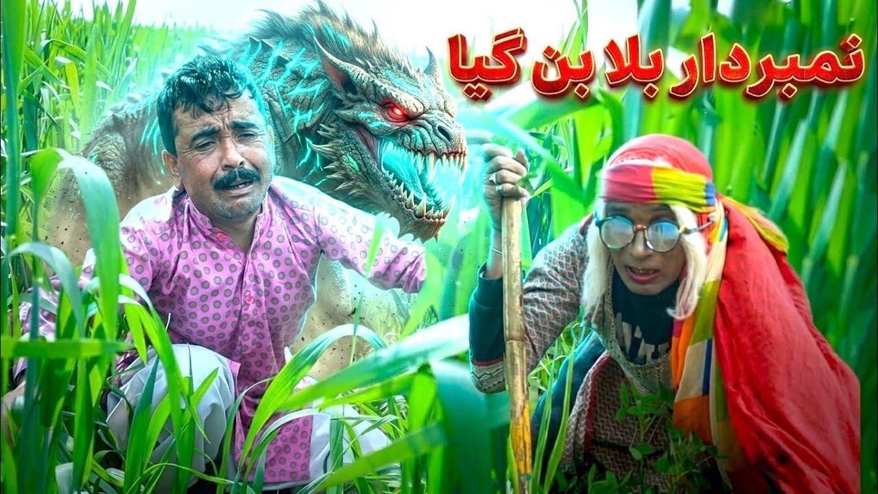 NumberDaar Bala Ban Gya|Funny Video 2024|Dadi420|Helmet|Rockit|Saraiki Comedy Darama|Punjabi