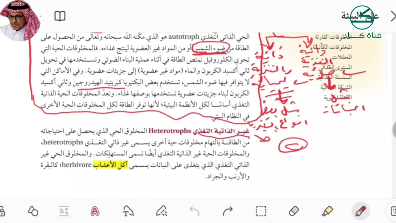 انتقال الطاقة في النظام البيئي