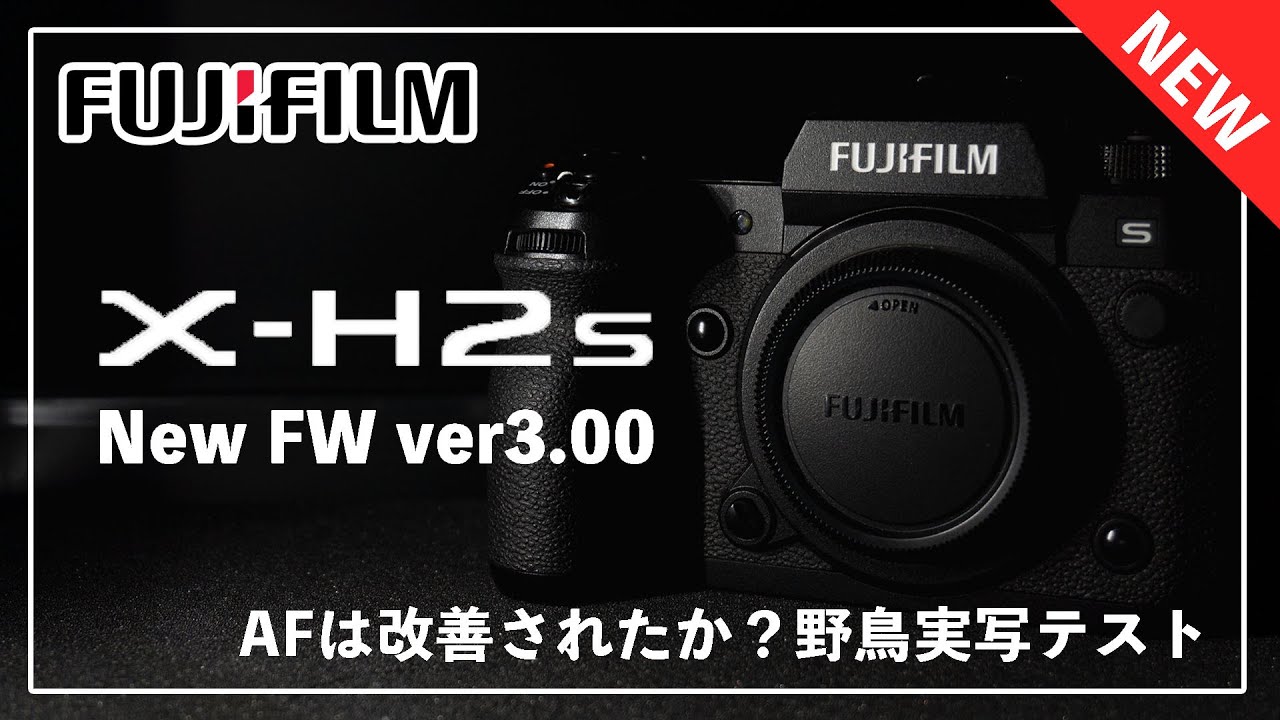 FUJIFILM X-H2s 新ファームウェア登場！ーVer3.00でAF改善？アップデート後の野鳥撮影で実写テストー