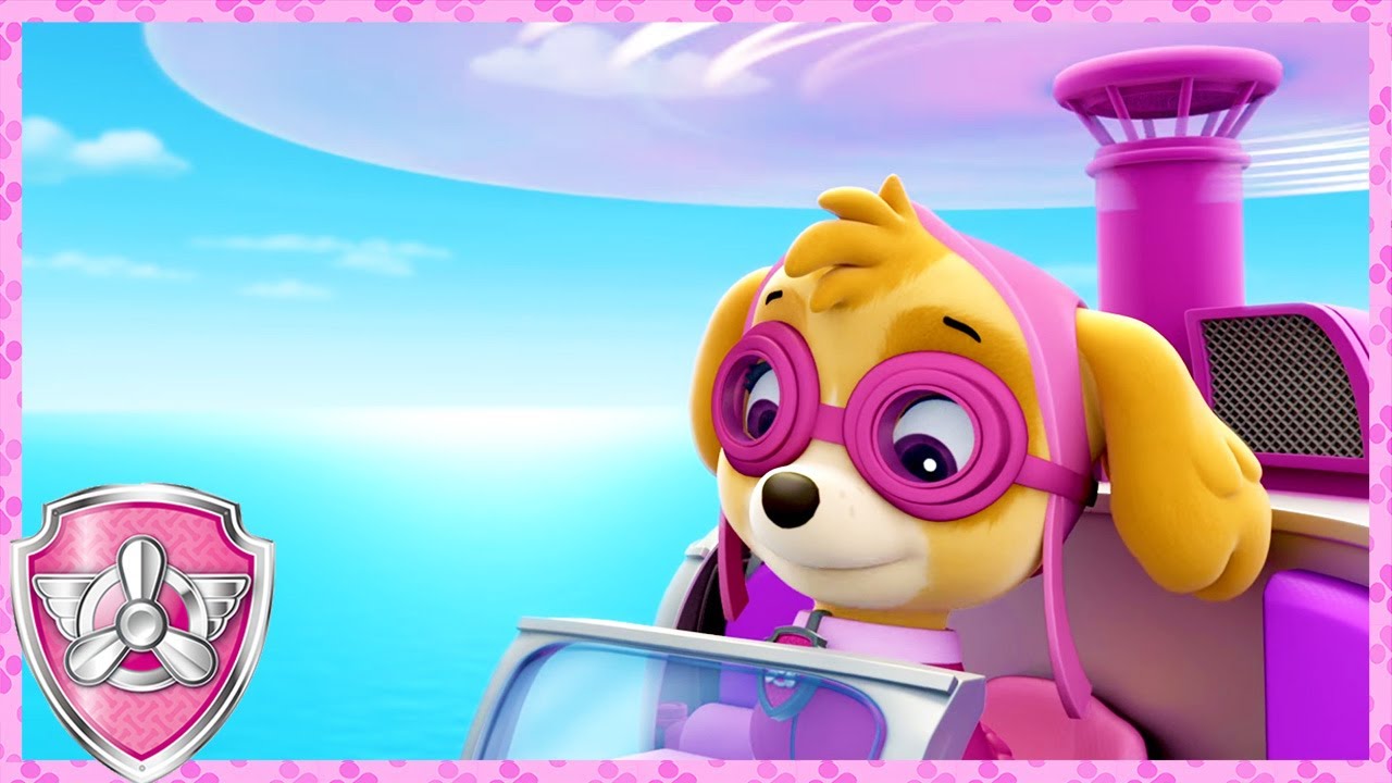 Ryder Needs Skye's Help! (Compilation) | Skye - Paw Patrol & Friends | Cartoons For Kids