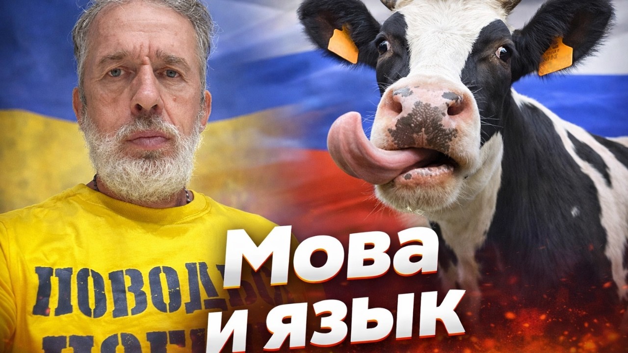 Немного о языковых вопросах от гражданина РФ