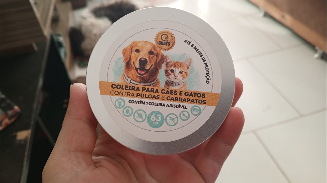 Apresentando minhas cachorras, + comprei coleiras anti-pulga!