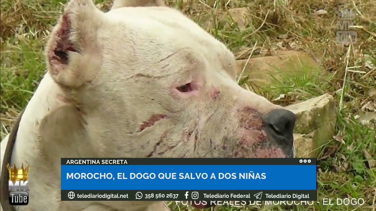 Argentina Secreta
