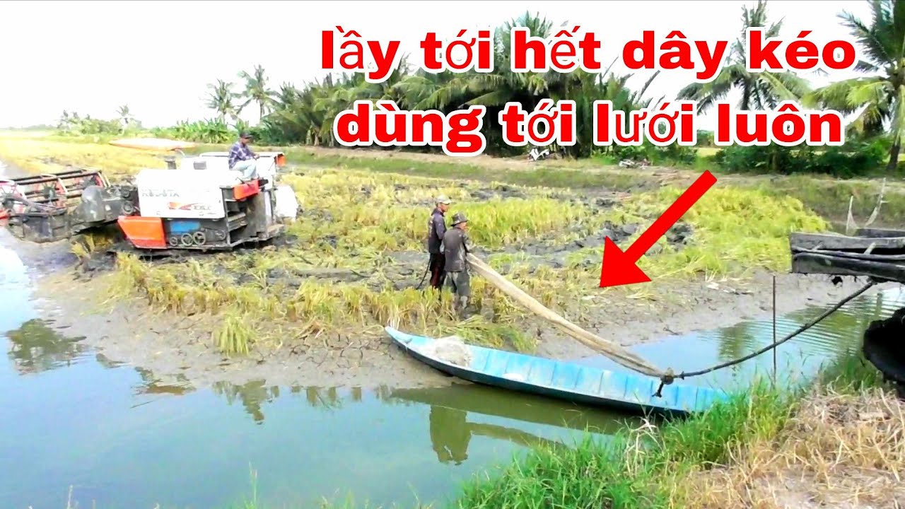 XEM CẢNH MÁY CẮT KUBOTA LẦY VUÔNG TÔM KÉO HOÀI MÀ KHÔNG LÊN