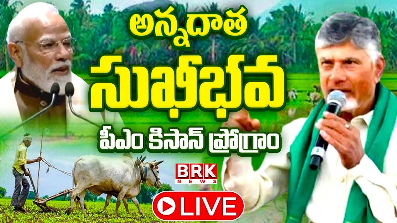 🔴LIVE :  CM Chandrababu At Gannavaram 'Annadata Sukhibhava' |  PM-KISAN’ programme | BRK NEWS