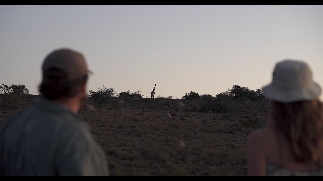 Experience Amakhala Safari Lodge.