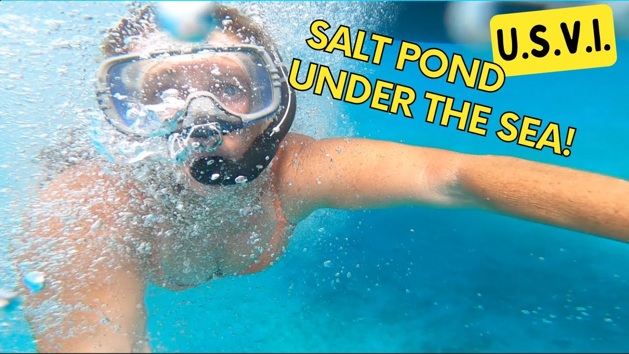 Episode # 6~ Salt Pond Under Sea!