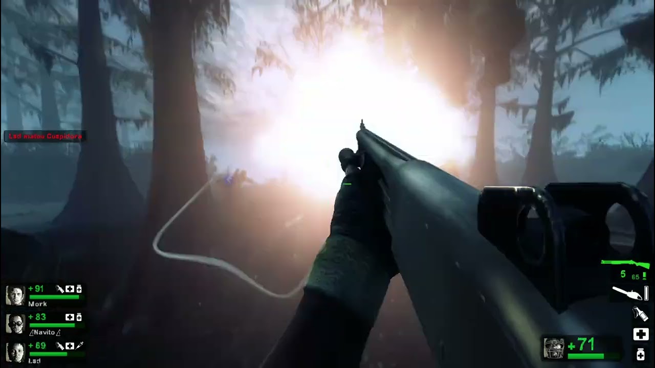 Left 4 Dead 2 Swamp Fever