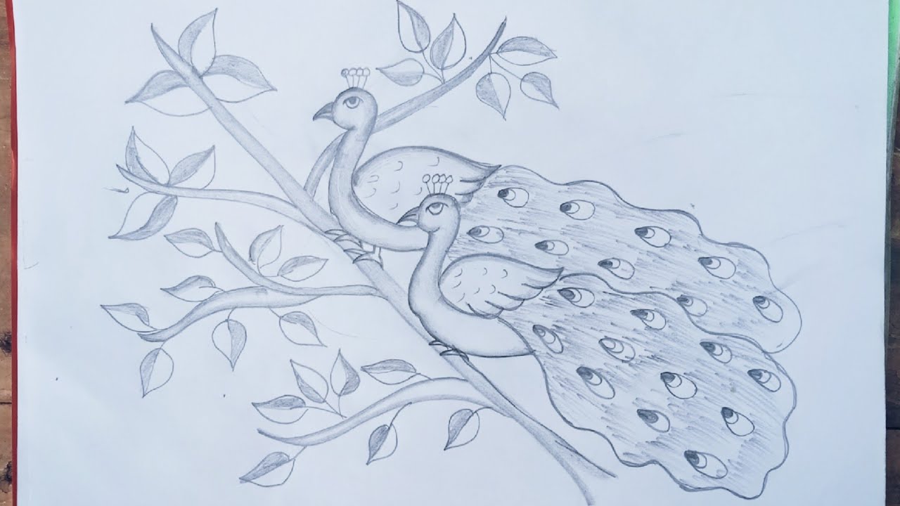मोर का चित्र बनाना सीखे आसनी से /how to draw a peacock easy step by step banana sikhe easy peacock a