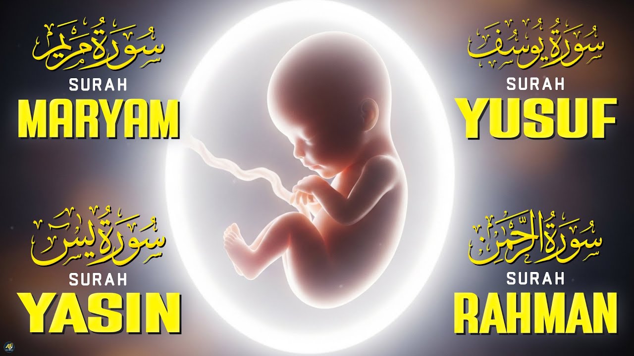 Pregnancy Support & Safe Delivery Quran | Surah Maryam | Yusuf,Yasin,Mulk | Beneficial Quran Tilawa