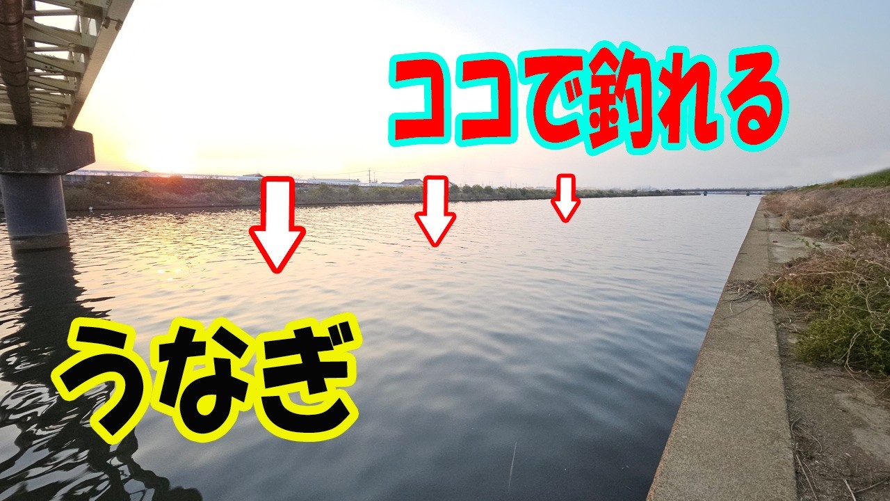【うなぎ釣り】どこ狙えば釣れる？