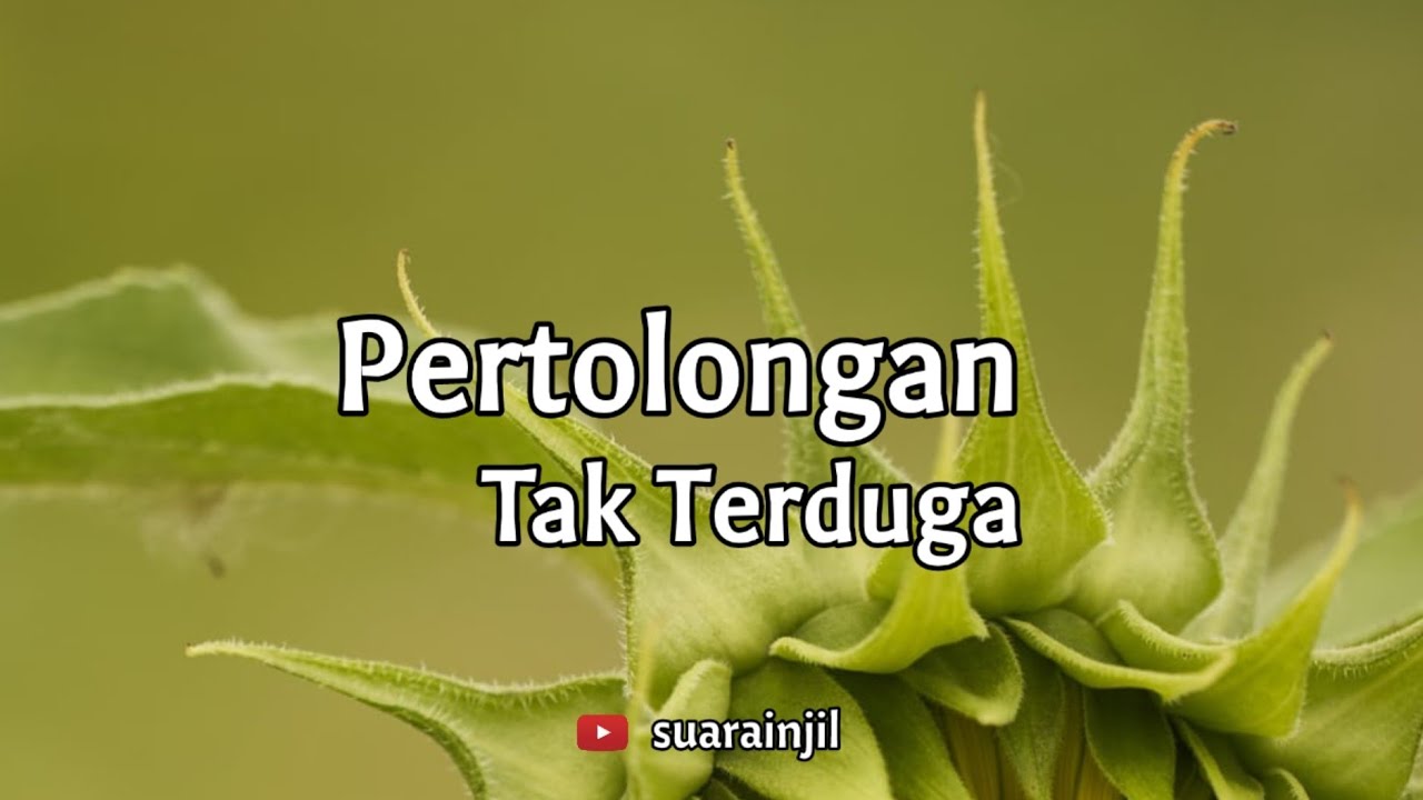 Pertolongan Tak Terduga. Renungan Dan Doa Malam Suara Injil.