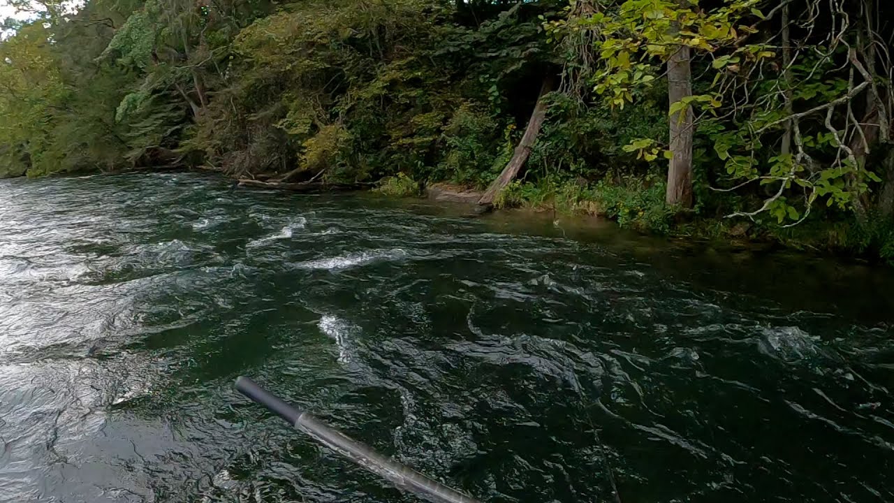 Streamer Fishing the South Holston River (Tailwater Below South Holston Dam)