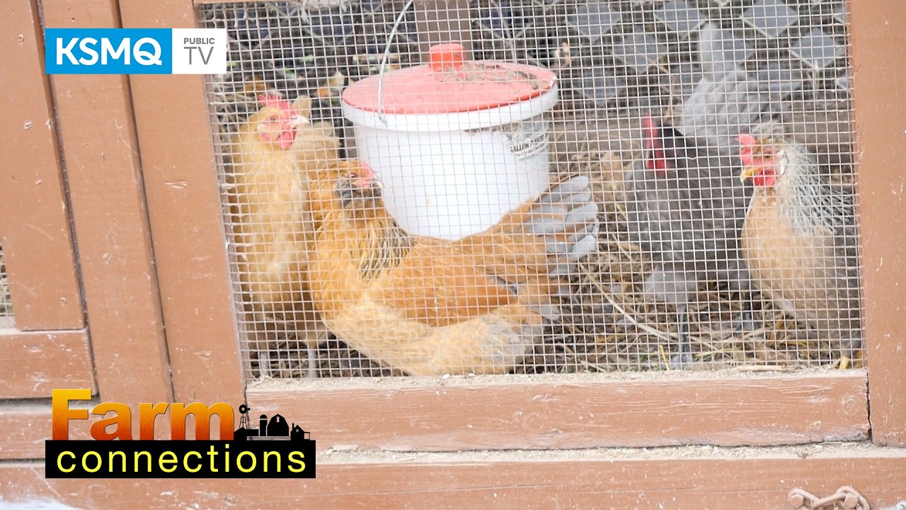 Farm Connections (1809) Angie Severson