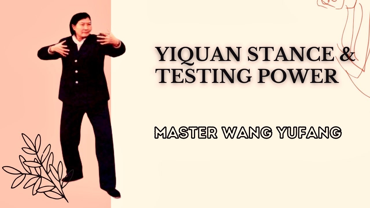 Yiquan Stance & Testing Power Demonstration #yiquan #dachengquan #wangyufang