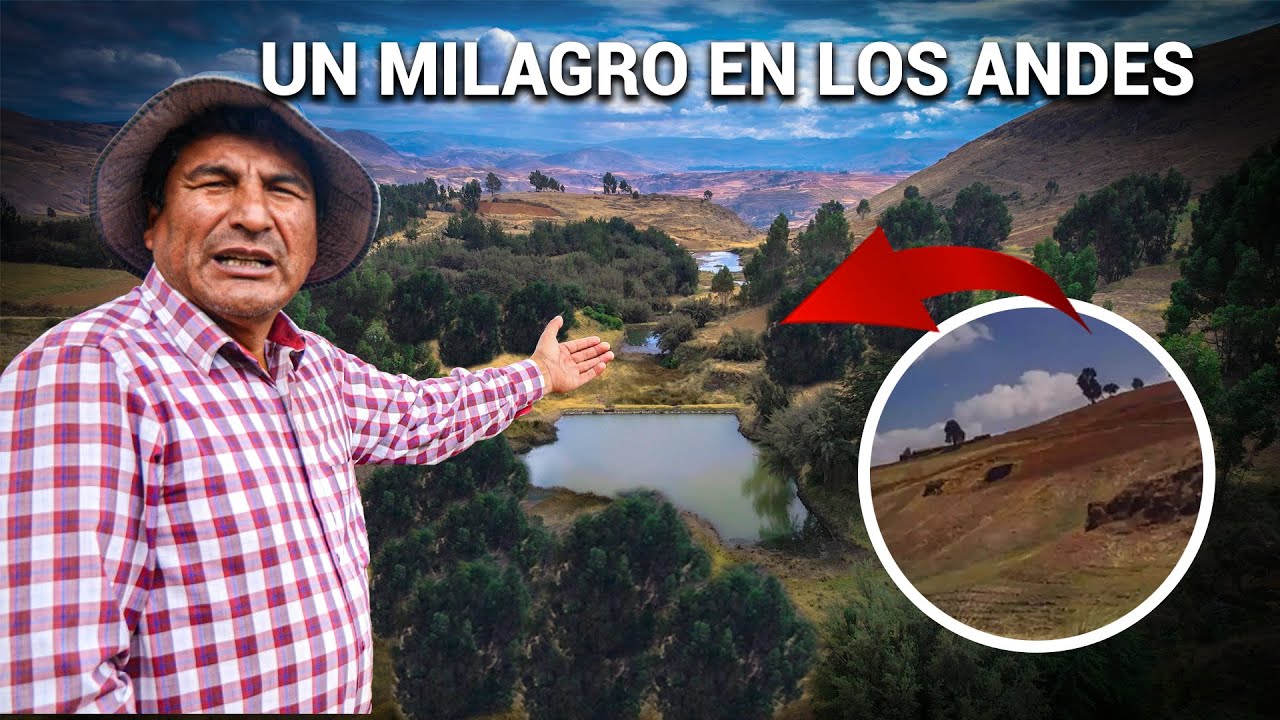 Increíble: un desierto se transformó en un bosque vivo gracias a la siembra de agua en los Andes