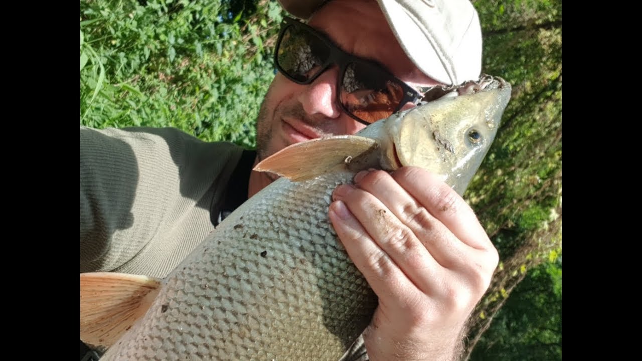Pecanje na plovak ( GoPro Fishing HD ) Juzna Morava,Mrena,Skobalj.