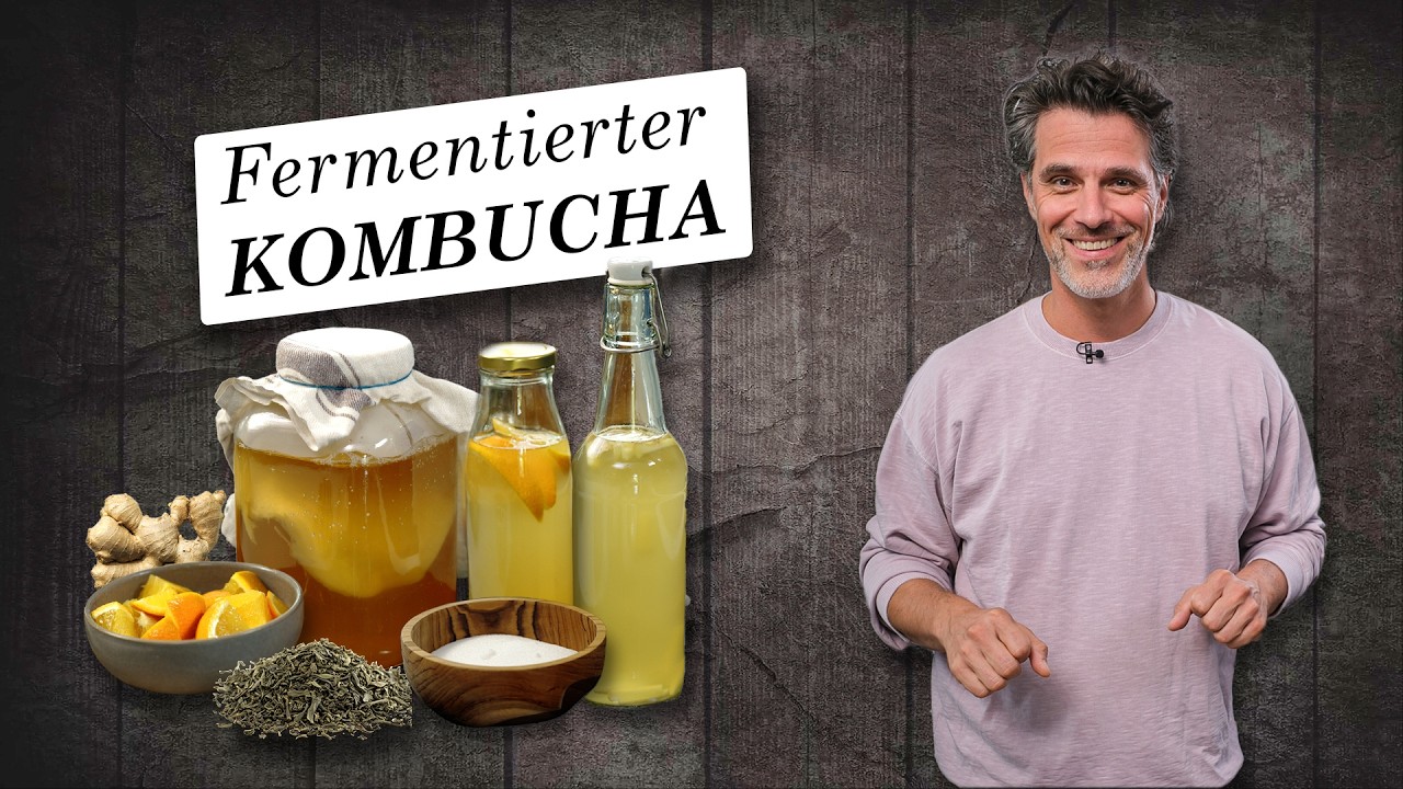 Kombucha selbst machen