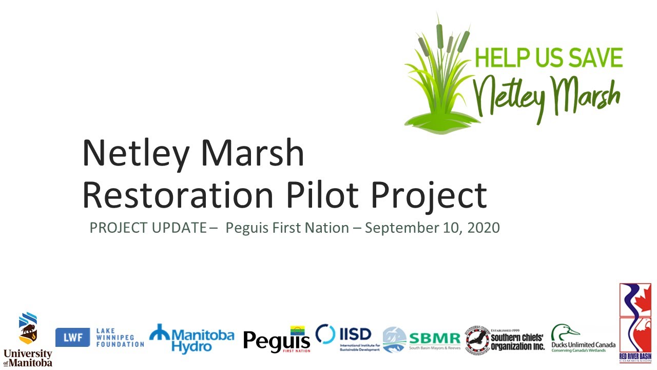 Netley Marsh Restoration Project - Presentation for Peguis FN