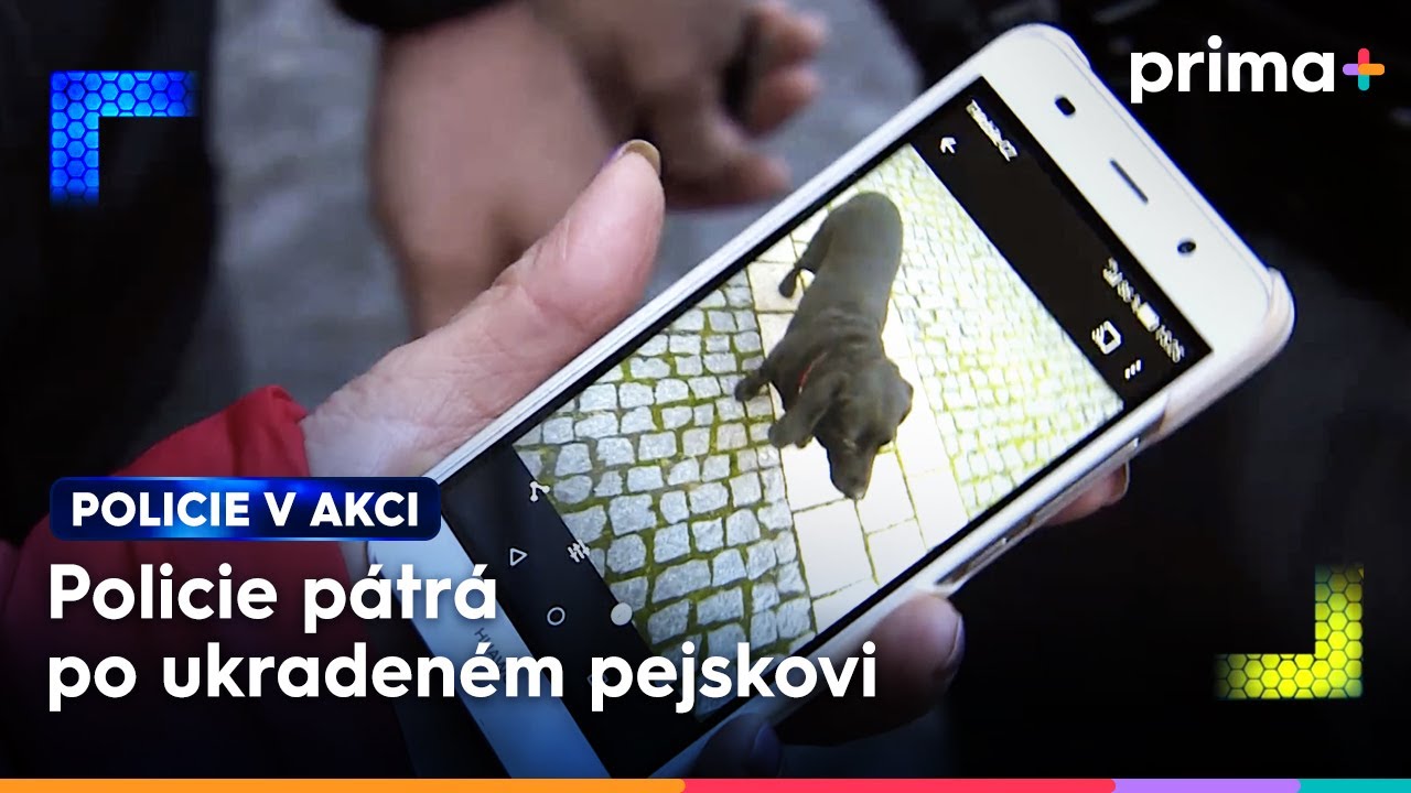 Nejlepší přítel člověka zmizel před poštou | Policie v akci