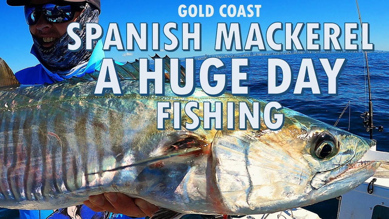 Spanish Mackerel - Gold Coast Fishing