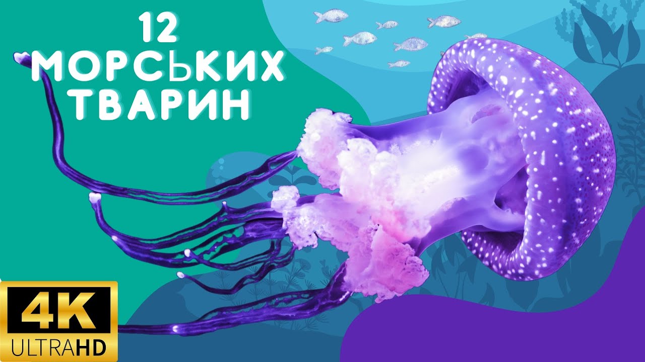 Морські тварини для дітей 🦀 Цікаві факти про мешканців океану 🪼Навчальне відео українською для дітей
