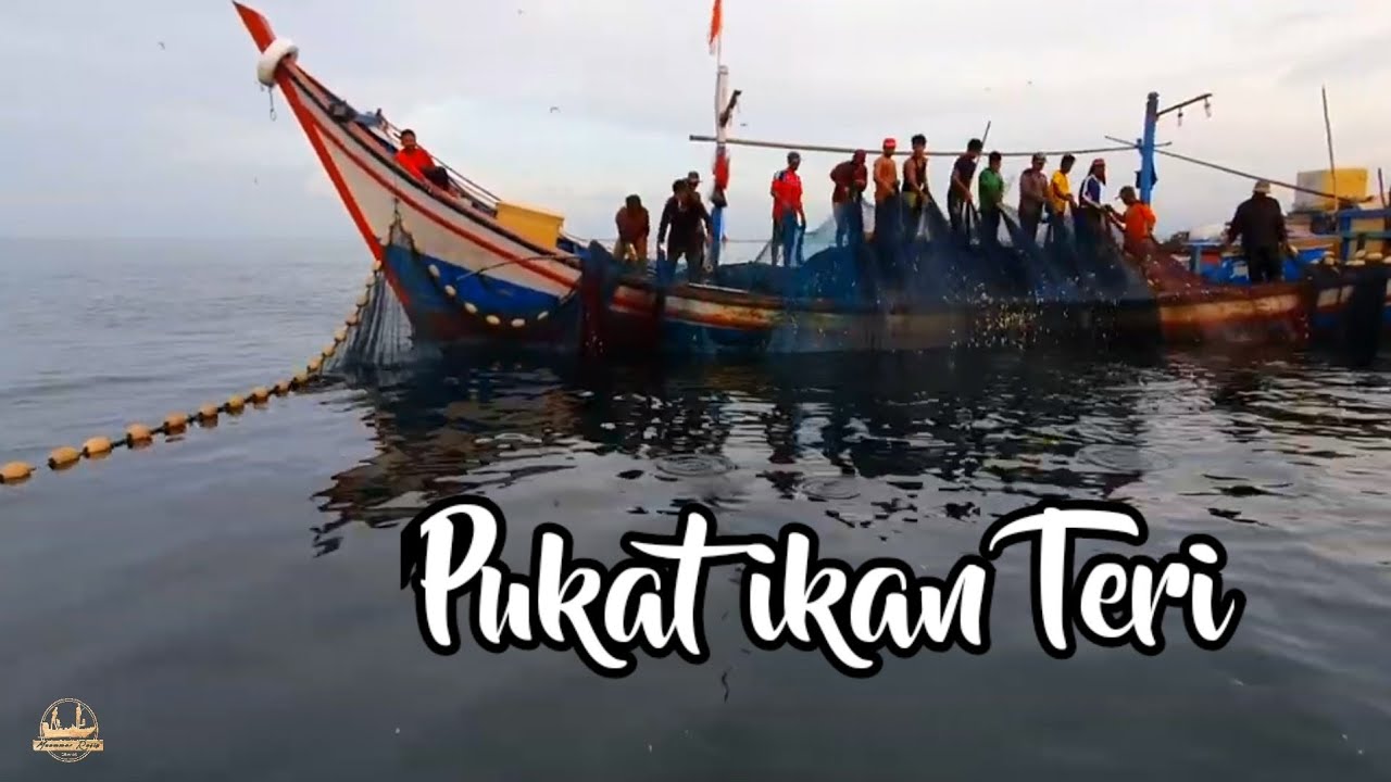 PUKAT TRADISIONAL Labuh ikan teri