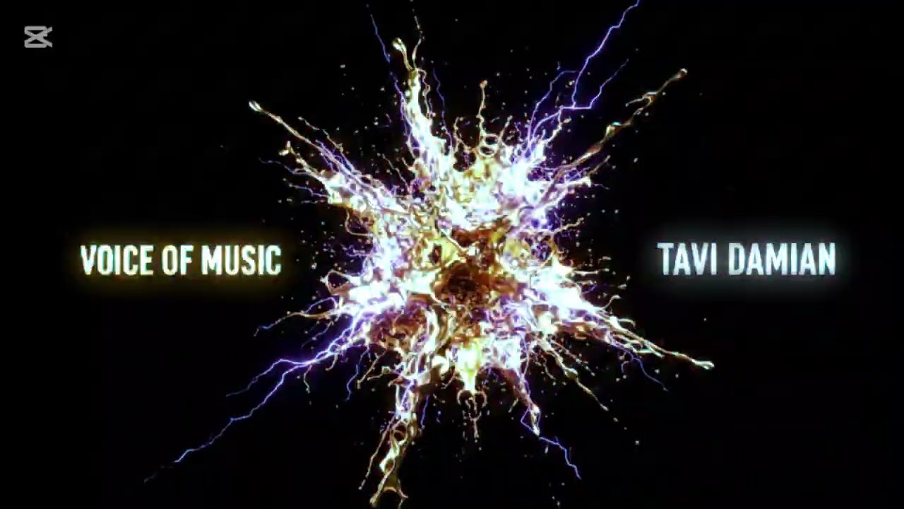 Tavi Damian - Voice of music (Official Audio)2026 