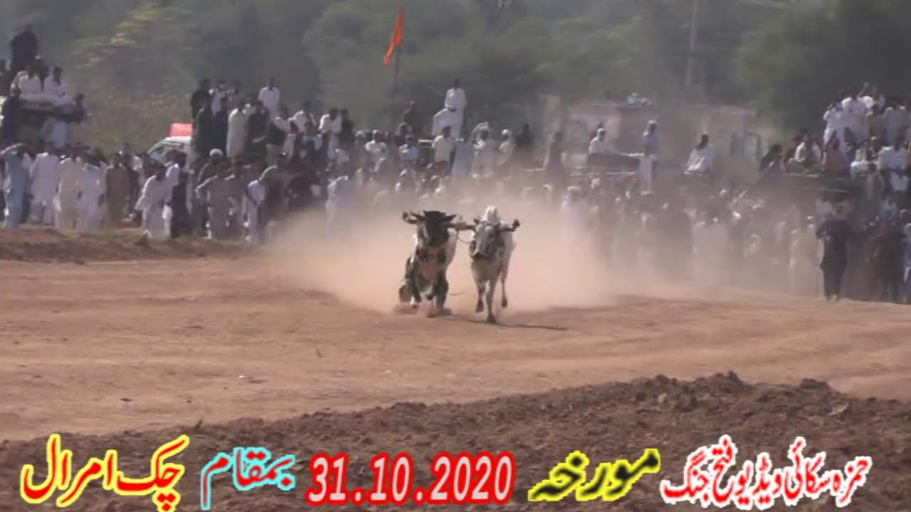 Hamza Sky Video Fateh Jang