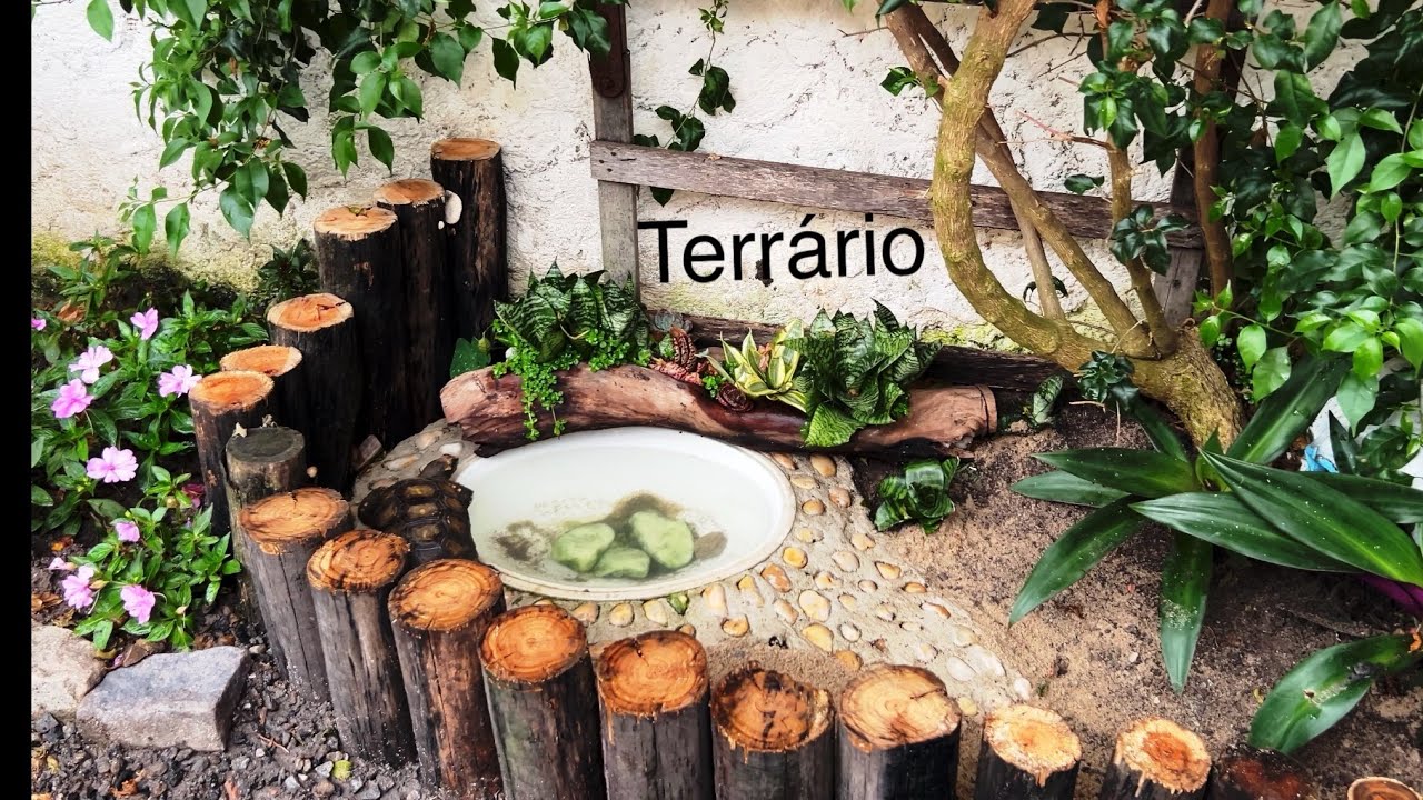 Como construir um terrário pra jaboti 