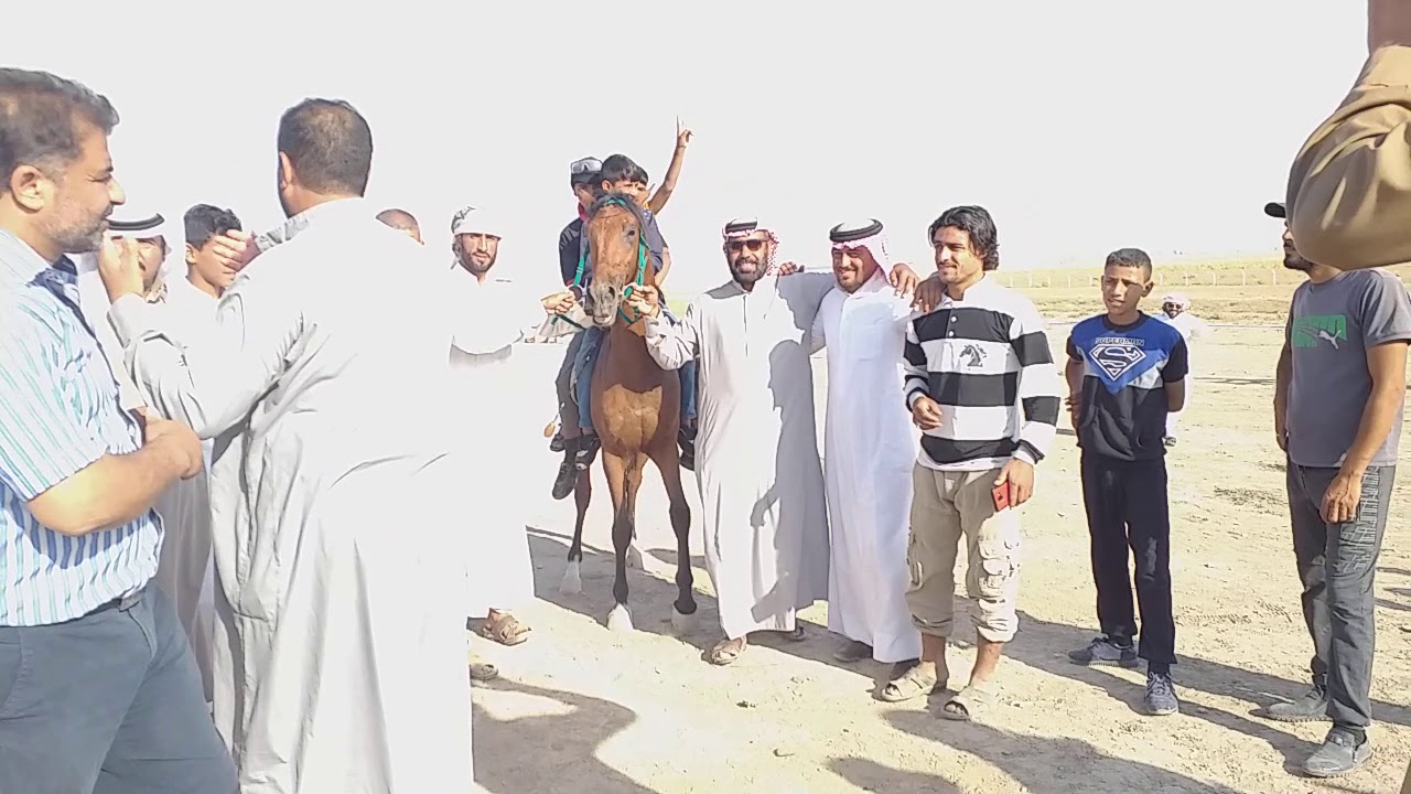 ابرز ادوار في الحسكه يحقق الفوز خيول الجعادله شعيطات