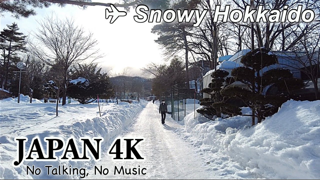 Travel【Hokkaido】Snowfall in Sapporo Maruyama Zoo | Winter trip to Hokkaido | Japan Walk | ASMR