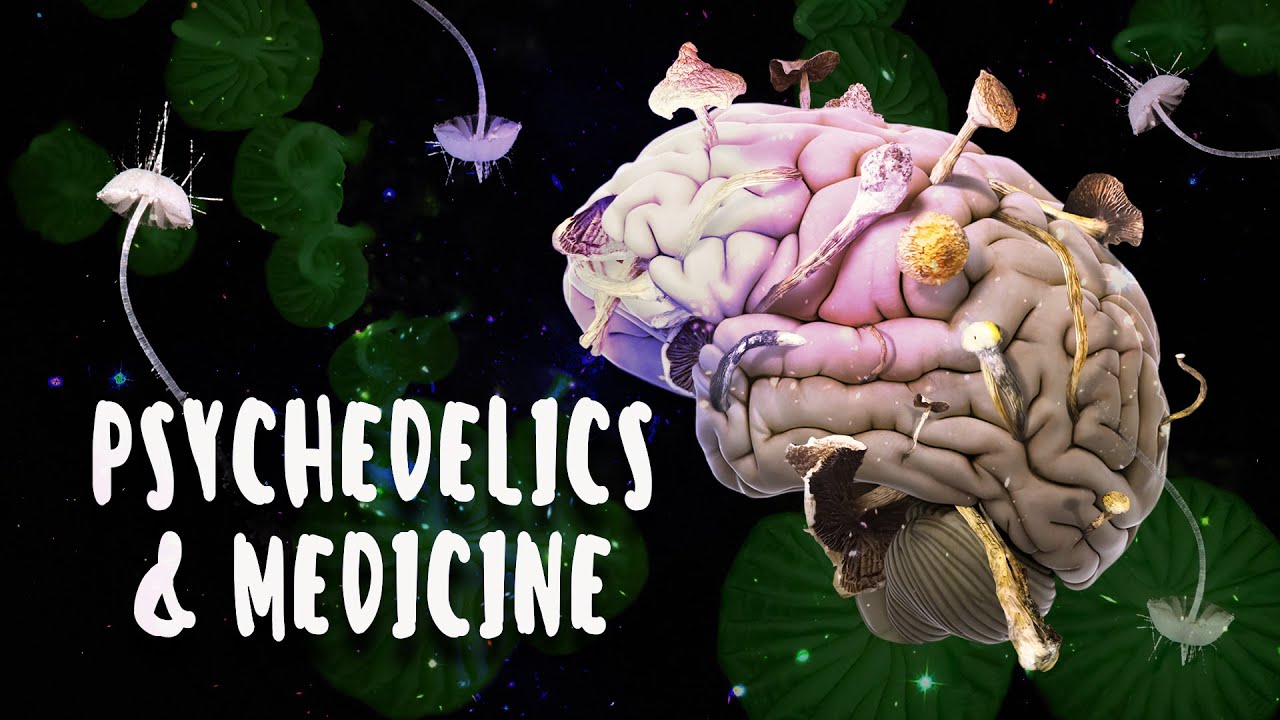 Psychedelics and Medicine | Full Documentary