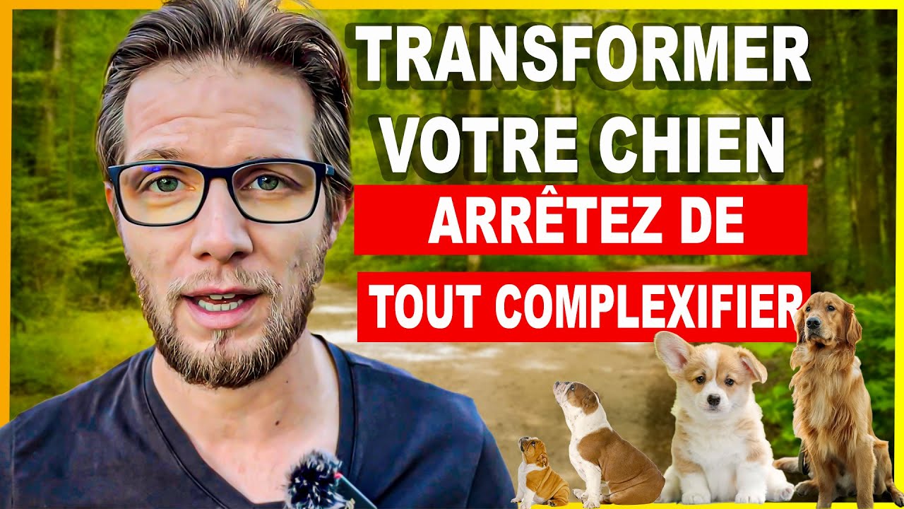 La Méthode pour transformer votre chien en 4 étapes
