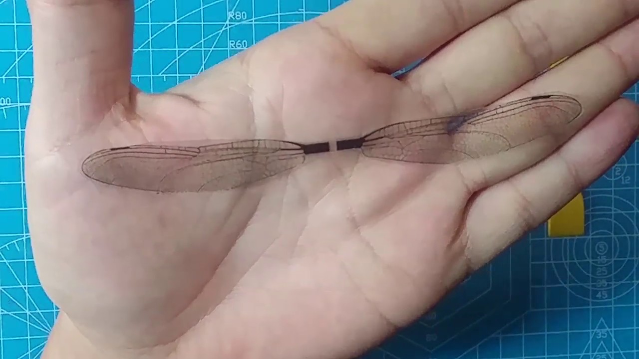 DIY/HOMEMADE/How to make toy bug wings/Simple Craft/Quick and Easy
