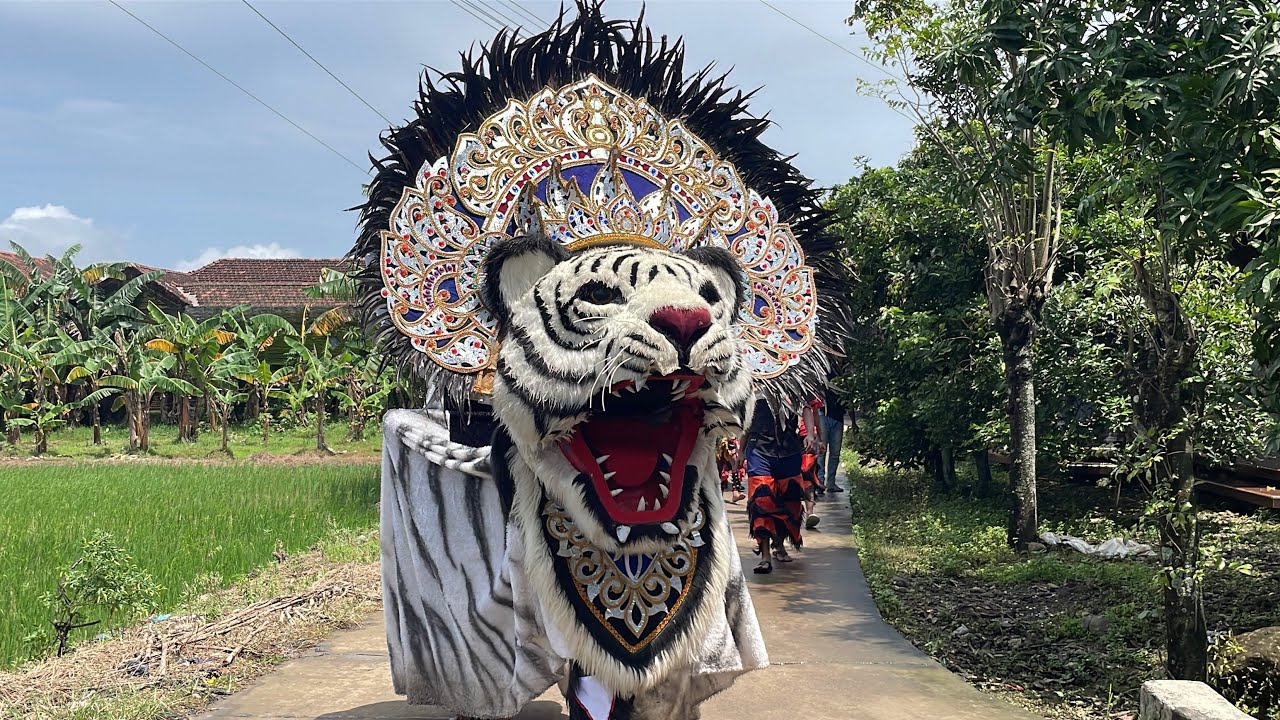 KIRAB BARONGAN SEKAR MULYA JAYA DI DESA BANDUNG REJO KALINYAMATAN 2026